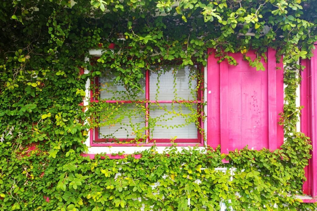 外人住宅の特徴